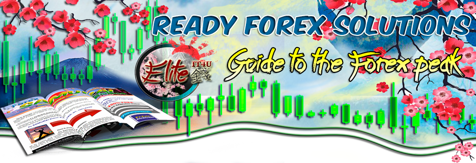 Forex 100